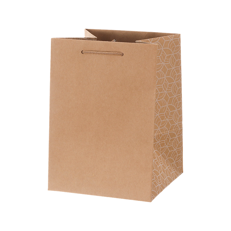 Bolsa de Regalo de Papel Kraft Económica con Asas e Impresión Personalizada